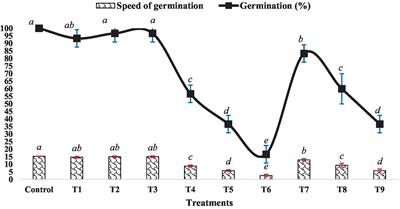 Brassinosteroids as promoters of seedling growth and antioxidant activity under heavy metal zinc stress in mung bean (Vigna radiata L.)